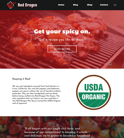 Red Dragon Website Prototype