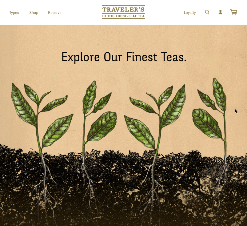 Traveler's Website Prototype