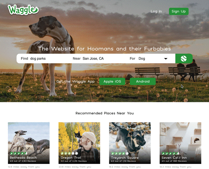 Waggle Desktop Home Demo